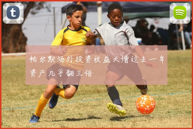 帕尔默场外投资收益大增过去一年资产几乎翻三倍