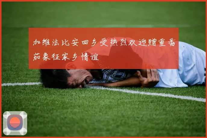 加维法比安回乡受热烈欢迎赠重番茄象征家乡情谊